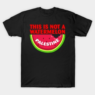 Palestine Funny Quote This is Not a Watermelon T-Shirt